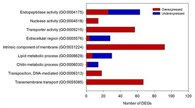 Transcriptome Analysis and Knockdown of the Juvenile Hormone Esterase Gene Reveal Abnormal Feeding Behavior in the Sugarcane Giant Borer